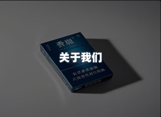 专业团队